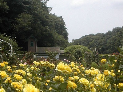 e0135287_12452411.jpg