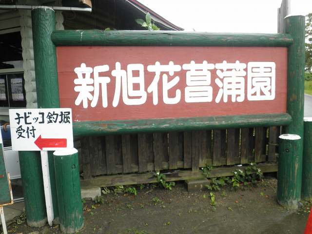 c0118393_8585552.jpg
