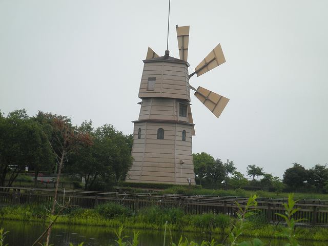 c0118393_995271.jpg