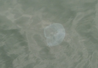 f0166694_20433931.jpg