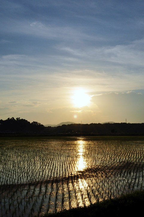 a0146195_44470.jpg