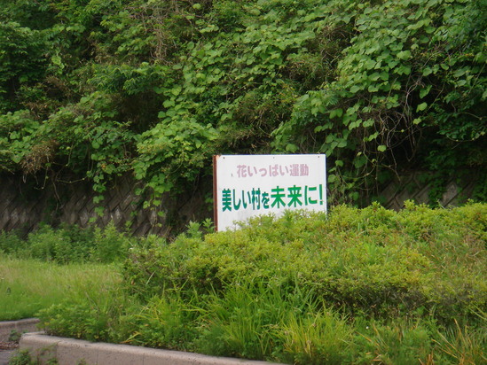 飯舘村_a0193496_1937521.jpg