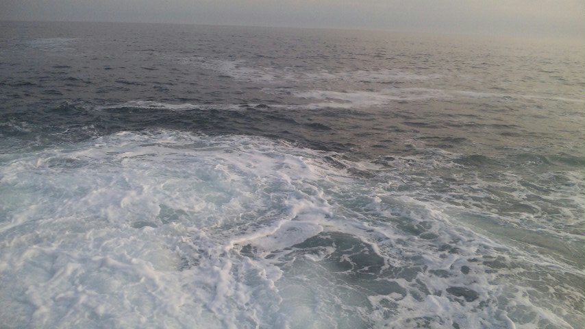 f0035404_8421439.jpg
