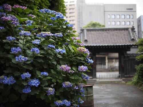 北品川路地歩き(東京都品川区)_d0147406_9473443.jpg