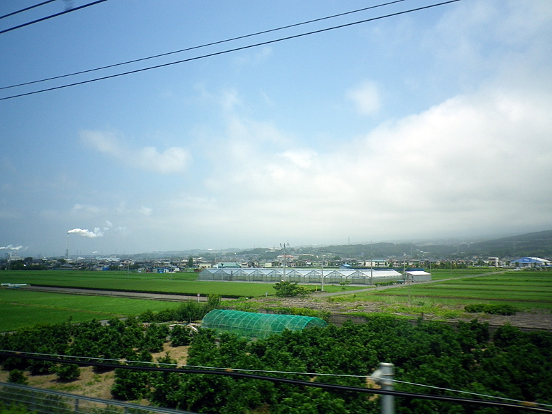 e0026606_1410242.jpg