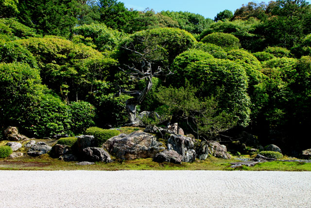 南禅寺 金地院_e0048413_1873975.jpg
