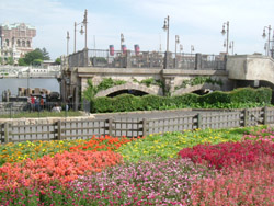 a0031714_017749.jpg