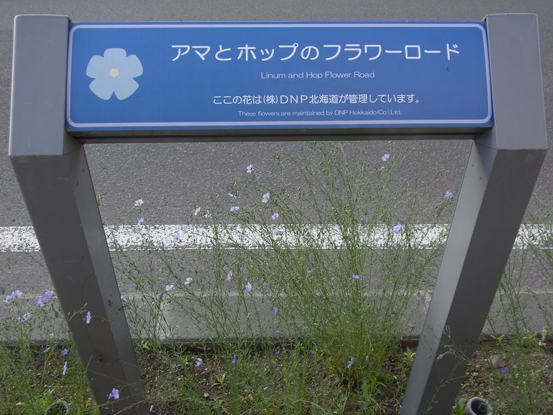久しぶりの大通公園_c0025115_2124102.jpg