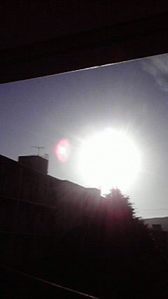 d0110022_08376.jpg