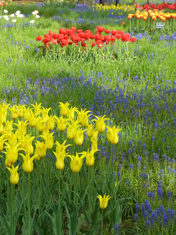 ある日の百合が原公園②_f0116528_20361357.jpg