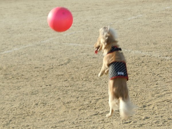 c0117831_15151445.jpg