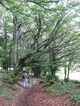 クッコ山で散歩2_f0234936_1155384.jpg