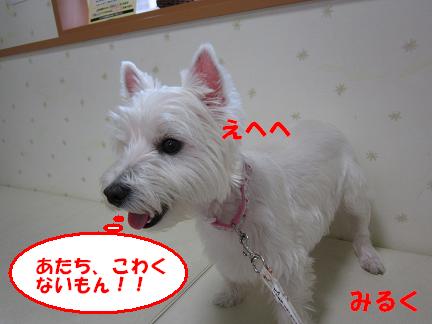 c0212637_10544637.jpg