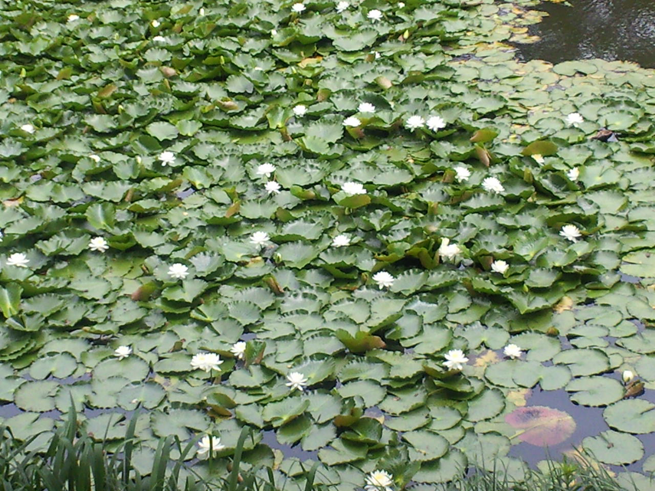 f0032042_13414017.jpg