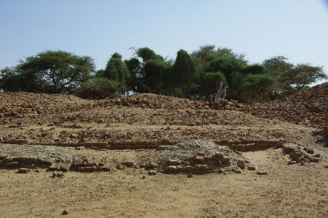 c0011649_25473.jpg