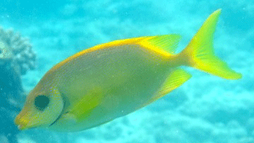 f0190653_1711187.gif