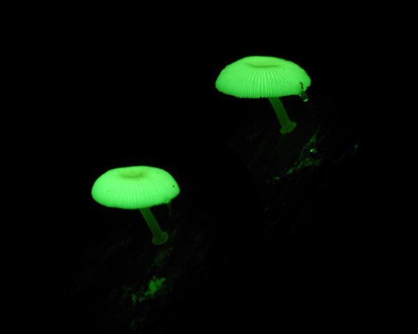 e0035757_02776.jpg