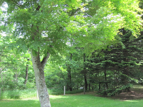 f0236260_20481182.jpg