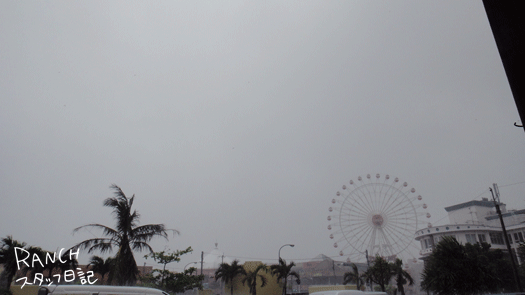 『台風の影響』_d0181266_1961835.gif