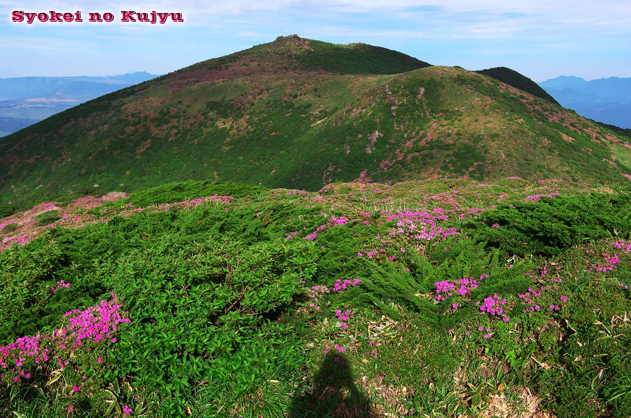 f0173067_15195638.jpg