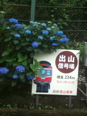 f0233068_881580.jpg