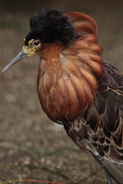 a0188771_6595040.jpg