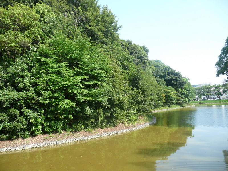 王塚古墳 on 2011-6-23_b0118987_10281923.jpg