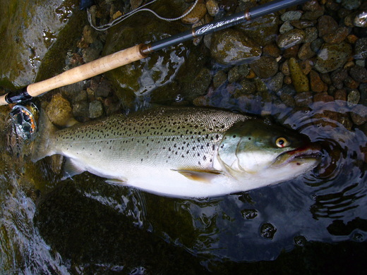 a0118989_22592812.jpg