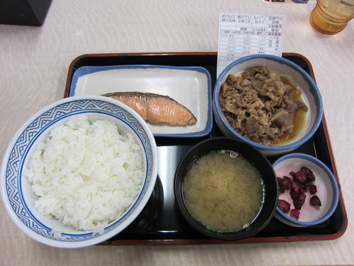 砂漠化 gremz 環境キーワード_b0200291_1947078.jpg