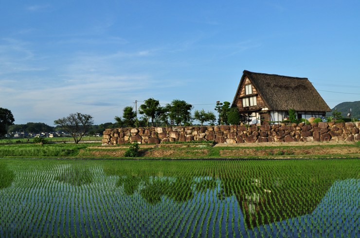 a0146195_047143.jpg