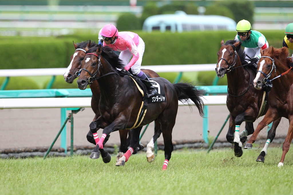 2011年6月25、26日　宝塚記念_f0204898_2153424.jpg