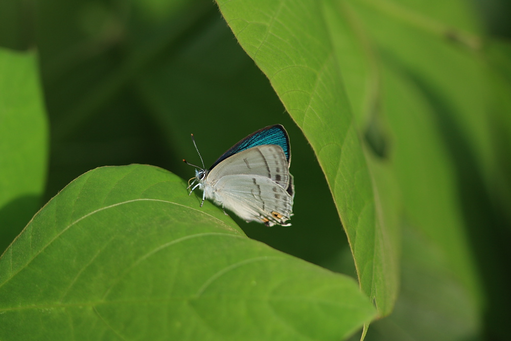 d0147002_2328506.jpg