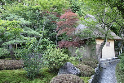 a0123003_9284986.jpg