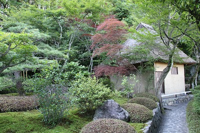 鈴虫寺　と　庭のお花達♪_a0123003_9284986.jpg