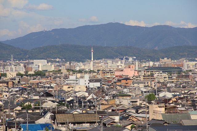 鈴虫寺　と　庭のお花達♪_a0123003_929512.jpg