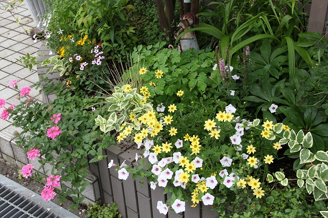 鈴虫寺　と　庭のお花達♪_a0123003_9531311.jpg