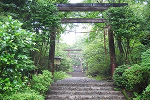 金時山!_d0050503_842269.jpg