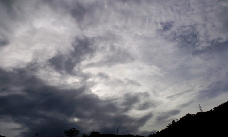 d0093903_8111984.jpg