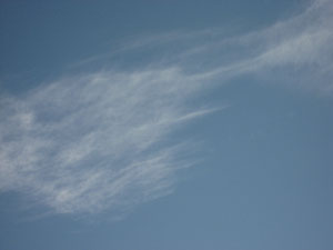 e0118904_219174.jpg