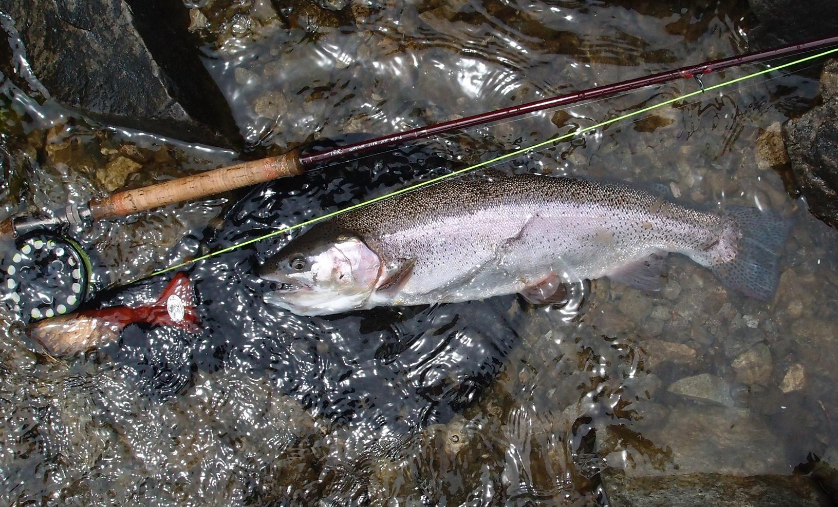中禅寺湖釣行9 つっちーのフライフィッシング釣行記 中禅寺湖釣行9 つっちーのフライフィッシング釣行記