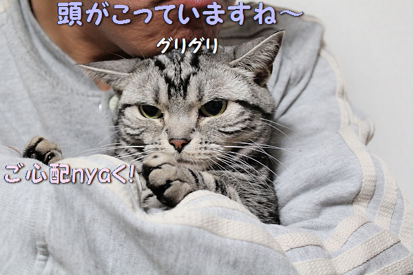 リラックスが大事_c0211109_32229.jpg