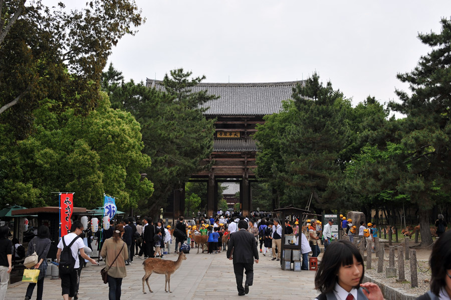 東大寺 大仏殿 （奈良）_a0042310_14542459.jpg