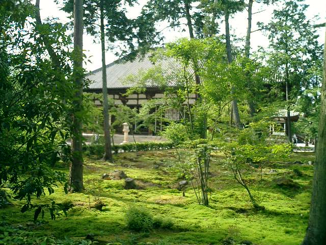 a0019212_1082421.jpg