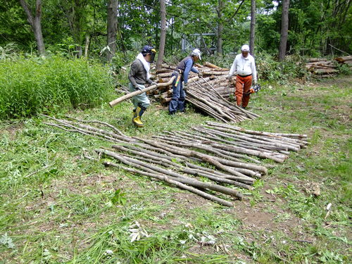 \'11-06 定例活動 柴原山林 植樹保全・笹、草刈り_c0173813_637404.jpg