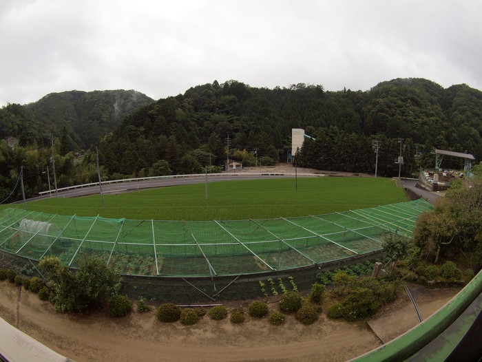 今日も雨。。_c0116915_2340882.jpg