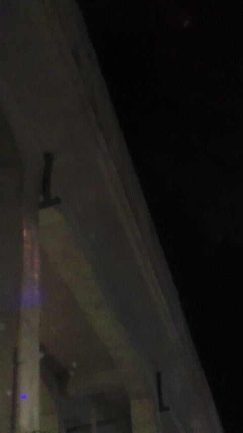 d0150722_211899.jpg