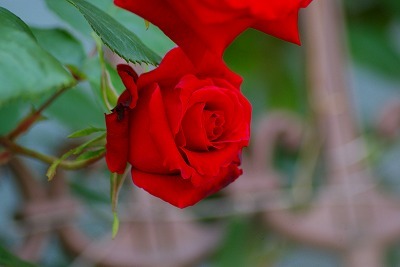 f0170524_13111183.jpg