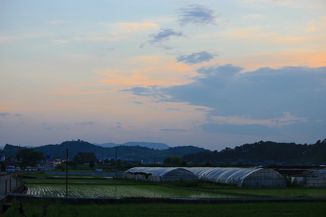 ６月２４日　　　夕景_a0045932_11331879.jpg