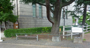 c0050734_17373632.jpg
