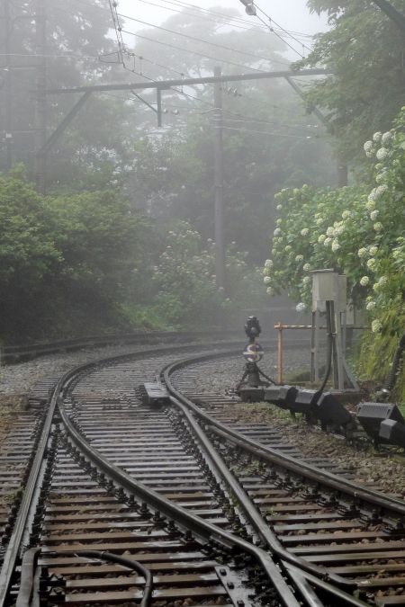 箱根登山鉄道　～あじさい電車～の旅♪　_d0145934_133534.jpg